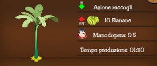 Albero del Banano Albero del Banano