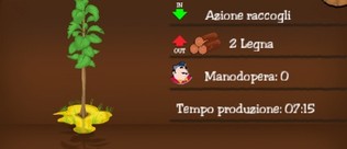Albero Teca (Tek) Albero Teca (Tek)