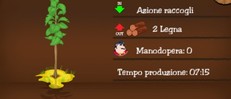 Albero Teca (Tek) Albero Teca (Tek)